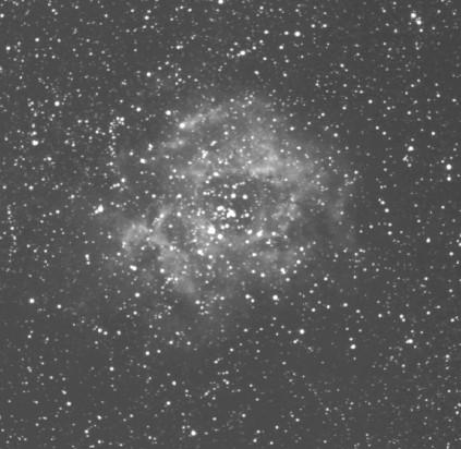 Rosette Nebula